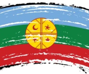 Pasado y presente del territorio Tribu Ignacio Coliqueo, Los Toldos