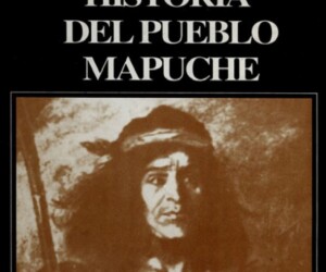 Historia del Pueblo Mapuche: Resistencia y Transformación (Siglos XIX y XX)