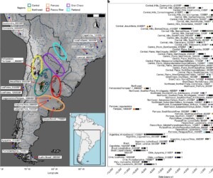 8.500 Años de Presencia Ininterrumpida: La Ciencia Destruye el Mito del “Desierto” y Confirma Derechos Territoriales Ancestrales