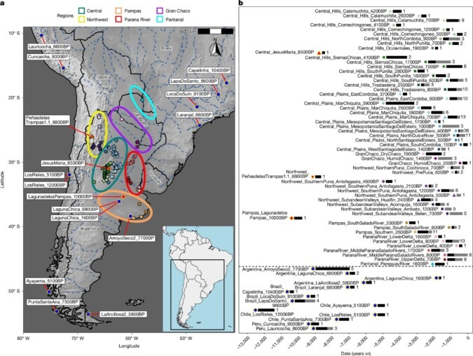linaje humano en la argentina