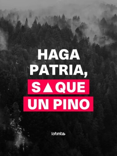 haga patria saque un pino