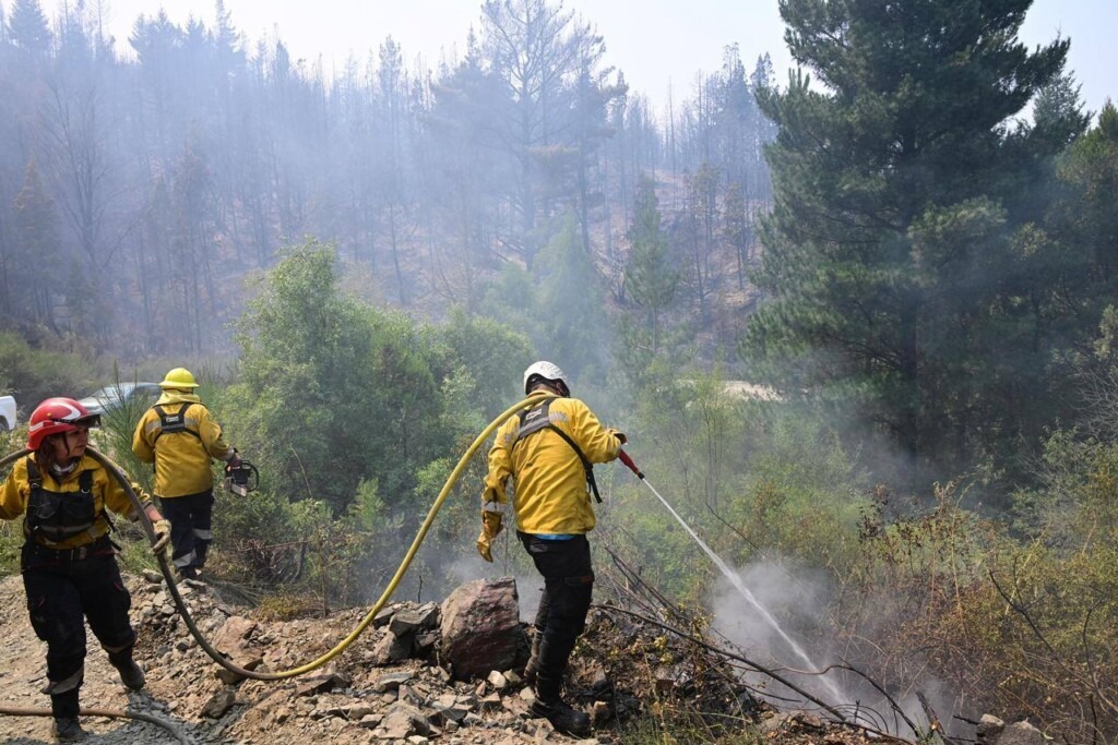 Incendios en Chubut: "Nos desalojan a punta de fuego" denuncia Mapuche 4 Incendios en Chubut: "Nos desalojan a punta de fuego" denuncia Mapuche