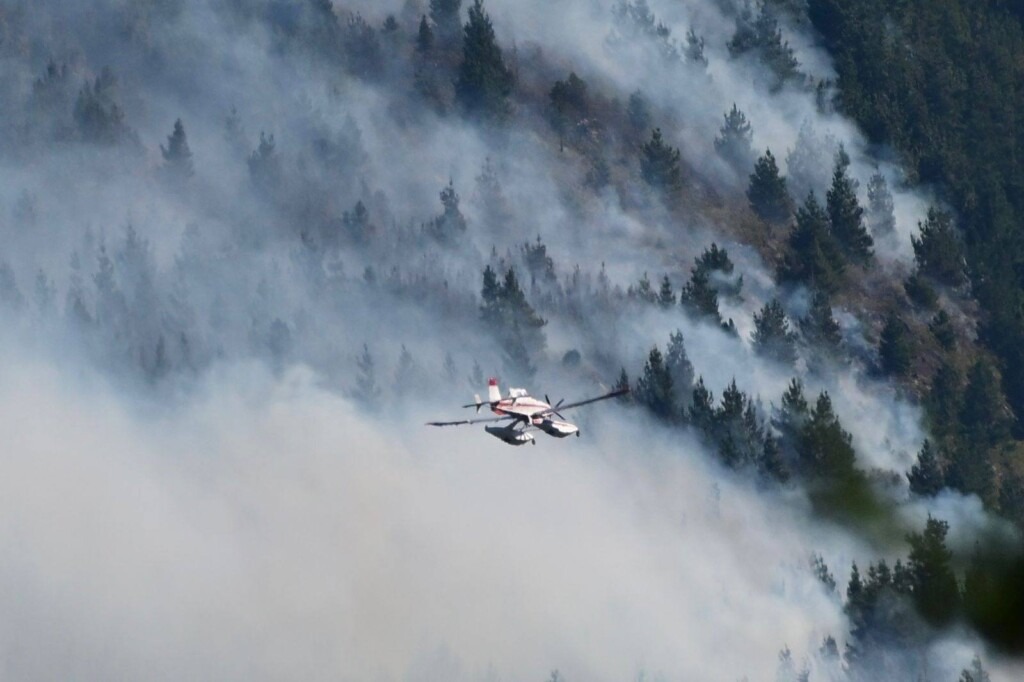 Incendios en Chubut: "Nos desalojan a punta de fuego" denuncia Mapuche 9 Comunidades mapuche denuncian abandono estatal tras los devastadores incendios en la Comarca Andina. Acusan al gobierno de Chubut de usar el fuego como estrategia y culpar injustamente a pueblos originarios mientras retiene fondos de prevención.