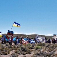 La Invasión de Pinos en Patagonia: Una Bomba de Tiempo Ambiental que Devora el Bosque Nativo 11